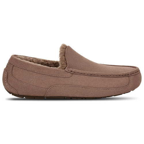 Мужские Кеды UGG Ascot UGG