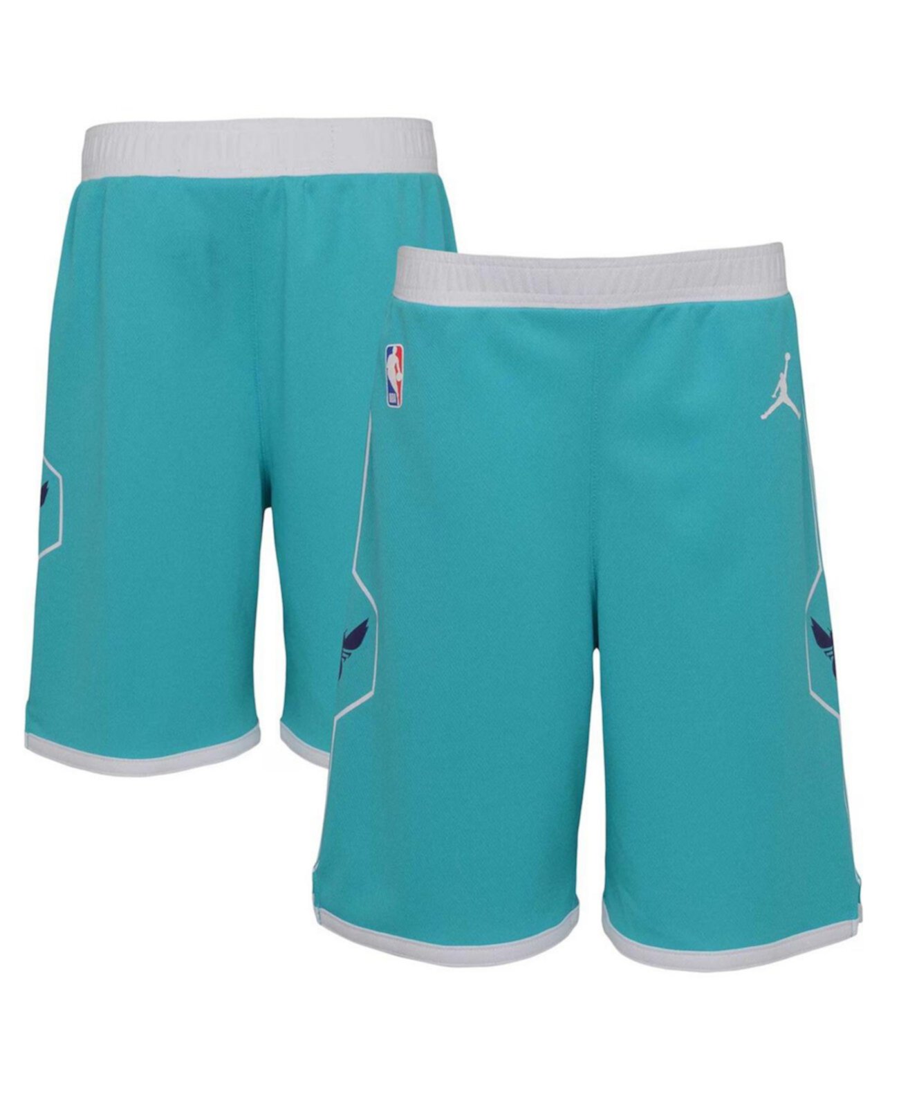 Спортивные шорты Nike для мальчиков Charlotte Hornets 2023/24 Icon Edition Replica Nike