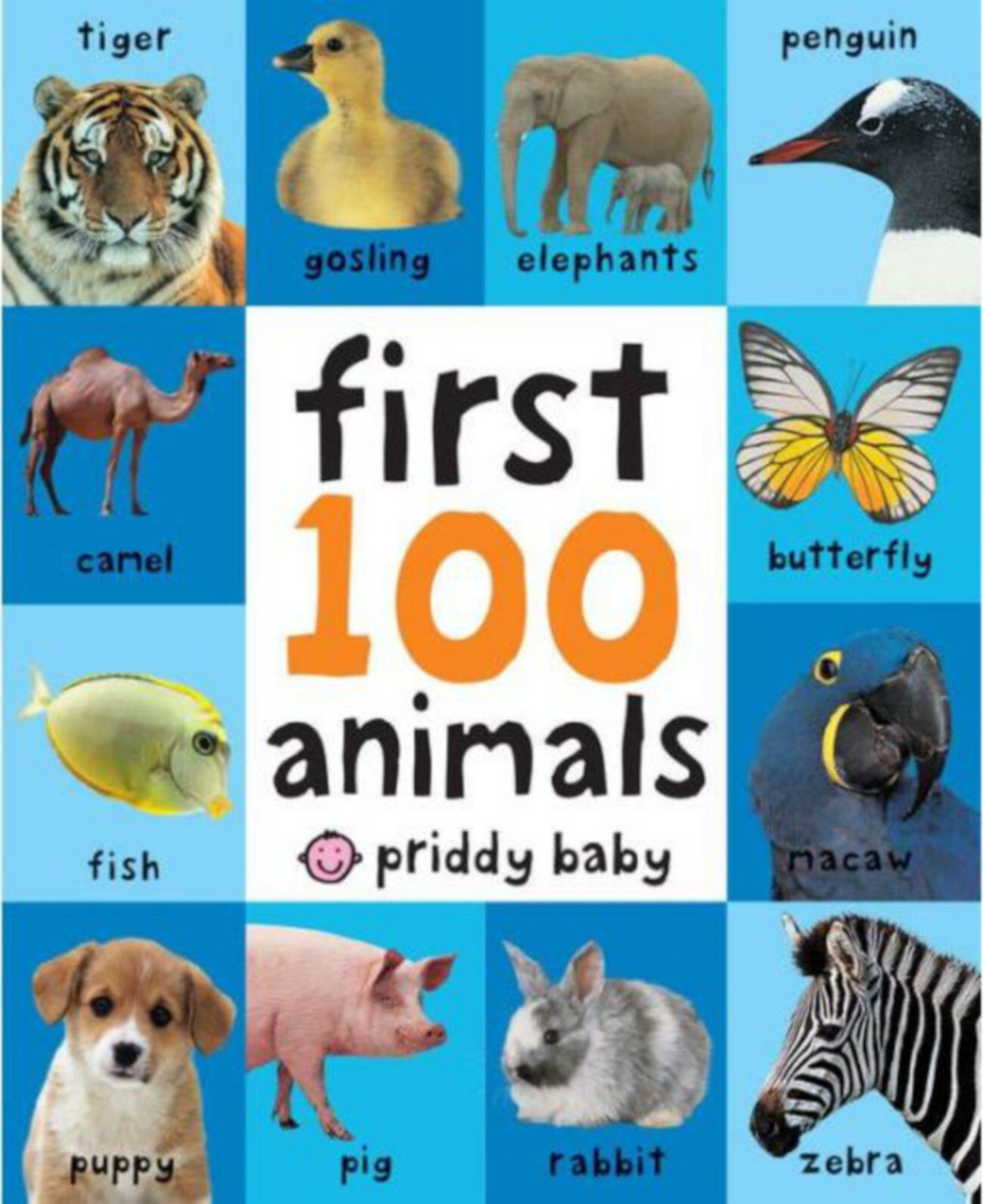 Детская книга Barnes & Noble First 100 Animals Barnes & Noble