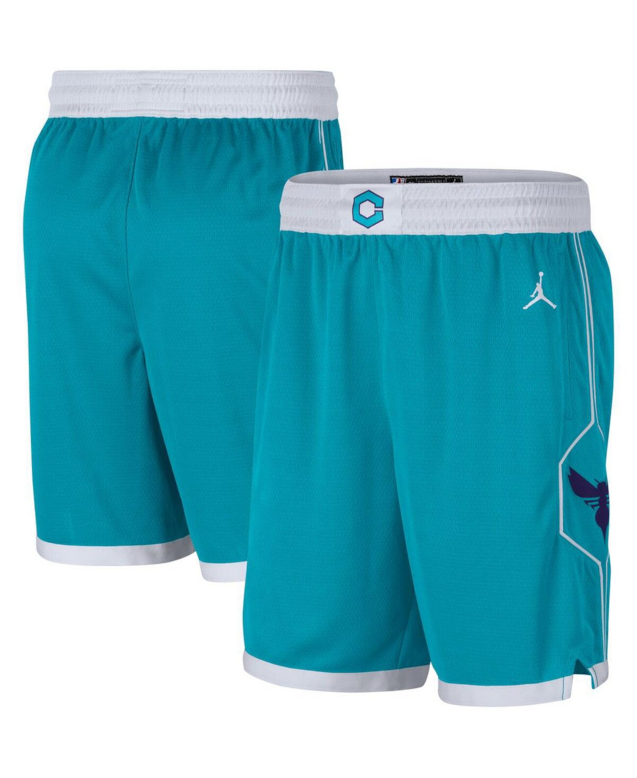 Мужские Спортивные шорты Jordan Swingman Icon Edition 2019/20 Charlotte Hornets Jordan