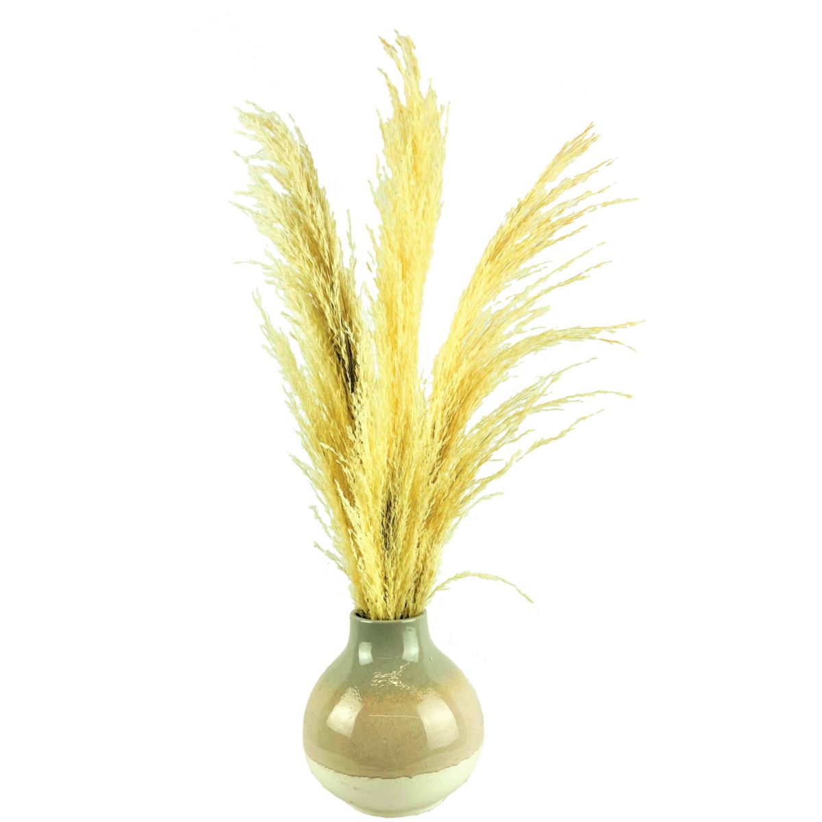 Sonoma Goods For Life® Pampas Grass in Ceramic Glazed Vase SONOMA