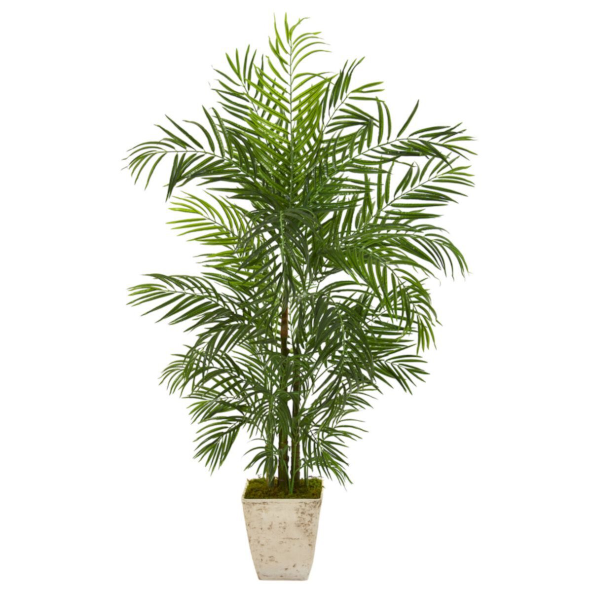 nearly natural 63-in. UV Resistant Areca Artificial Palm Tree in Country White Planter NEARLY NATURAL