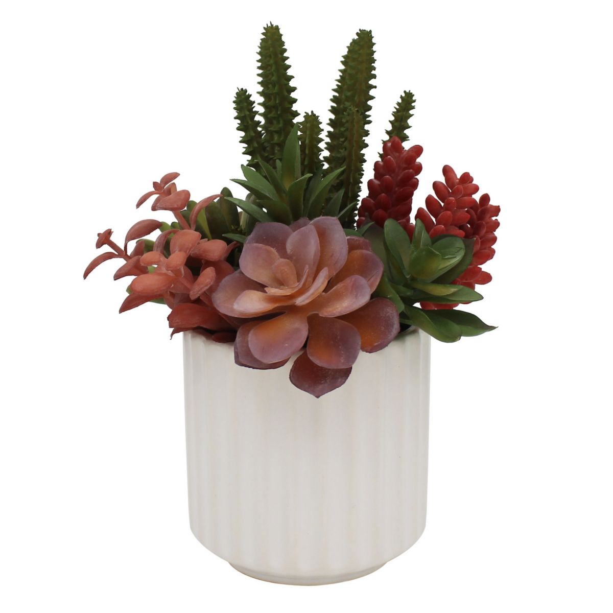 Mixed Succulents In Ceramic Pot Unbranded
