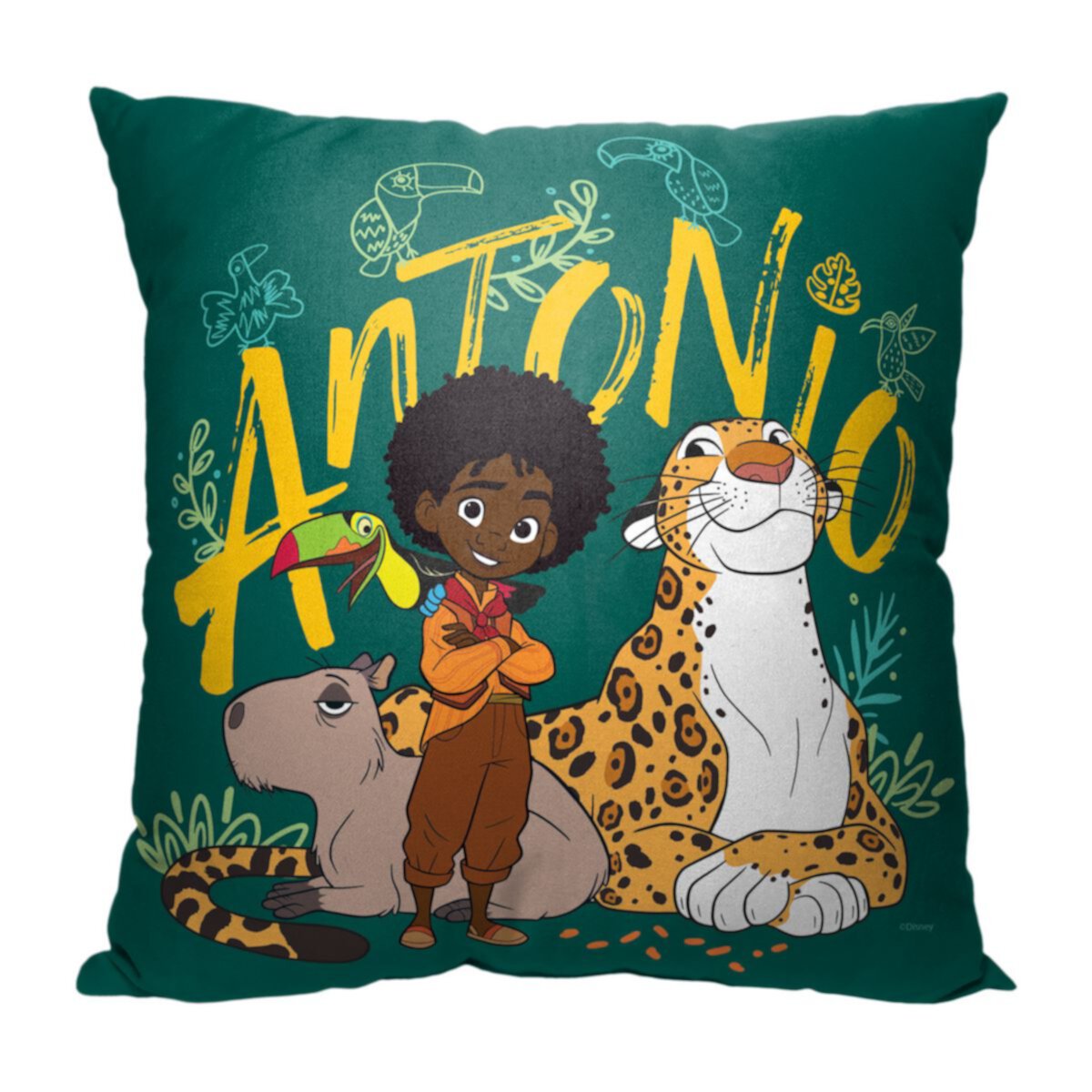 Disney's Encanto Antonio Animal Whisper Antonio Decorative Pillow Licensed Character