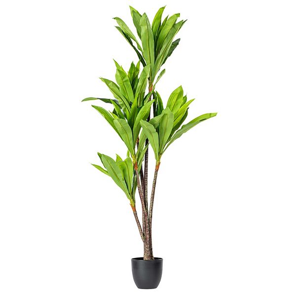 Vickerman 60&#34; Artificial Real Touch Dracaena Plant Vickerman