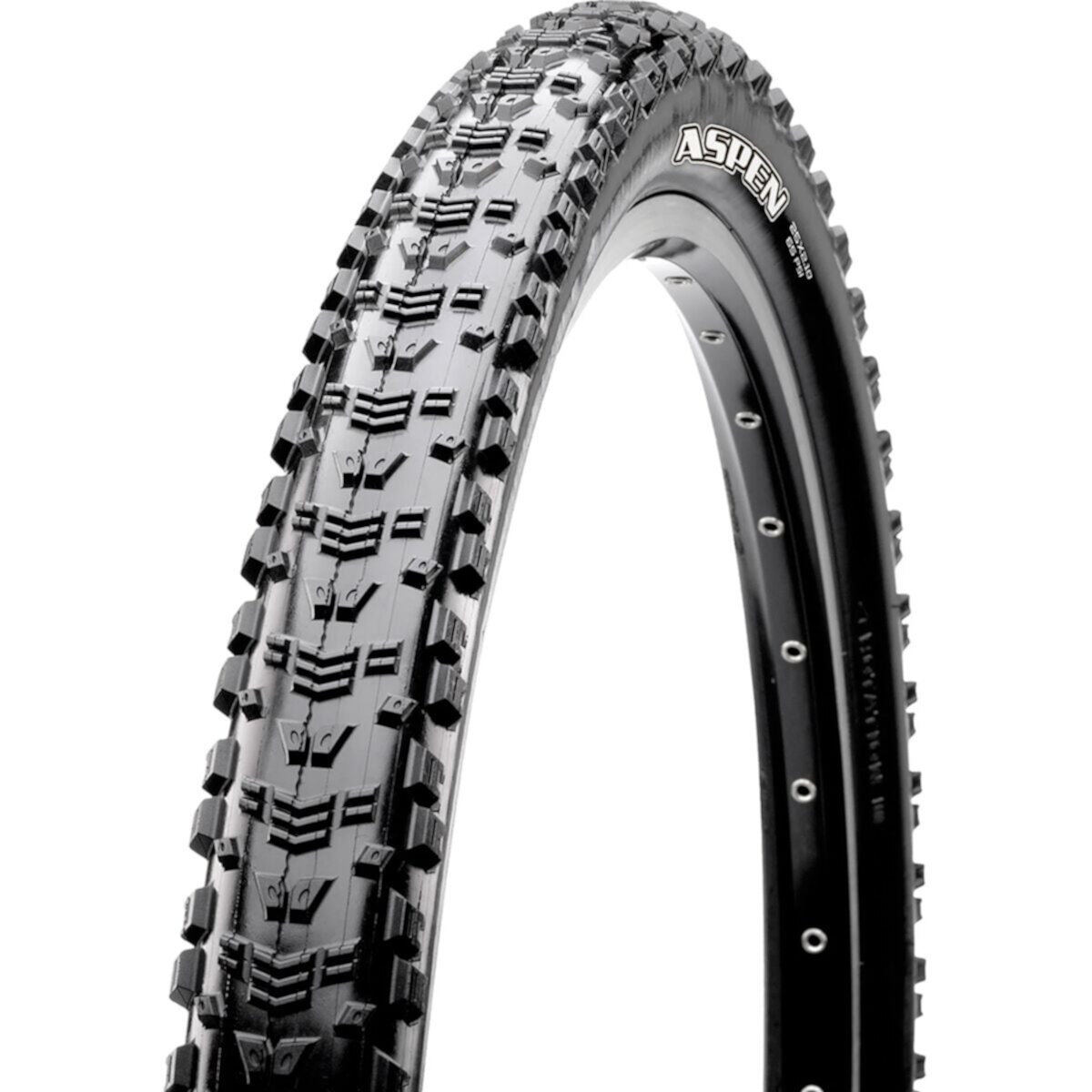 Aspen MaxxSpeed/EXO/170tpi/TR 29in Tire Maxxis