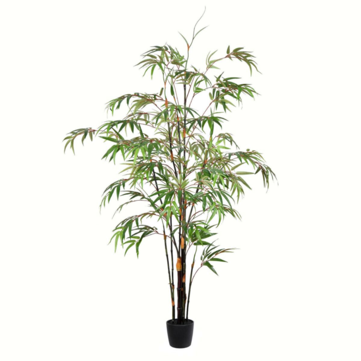 Vickerman Artificial Potted Black Japanese Bamboo Tree Floor Decor Vickerman