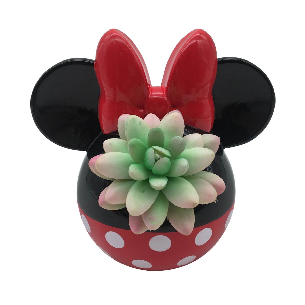 Disney Minnie Mouse Mini Planter Disney