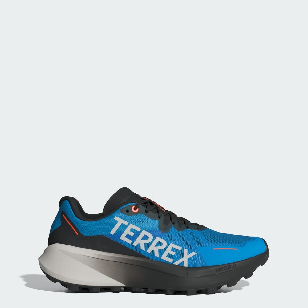 Мужская Спортивная обувь Adidas TERREX Agravic 3 Adidas TERREX