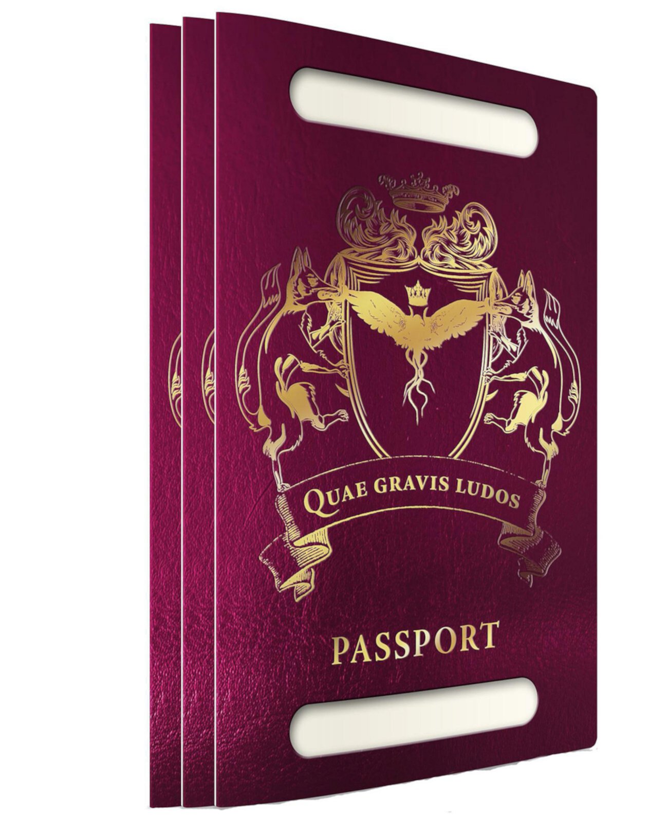 The Troubleshooters Passport RPG Accessory Modiphius