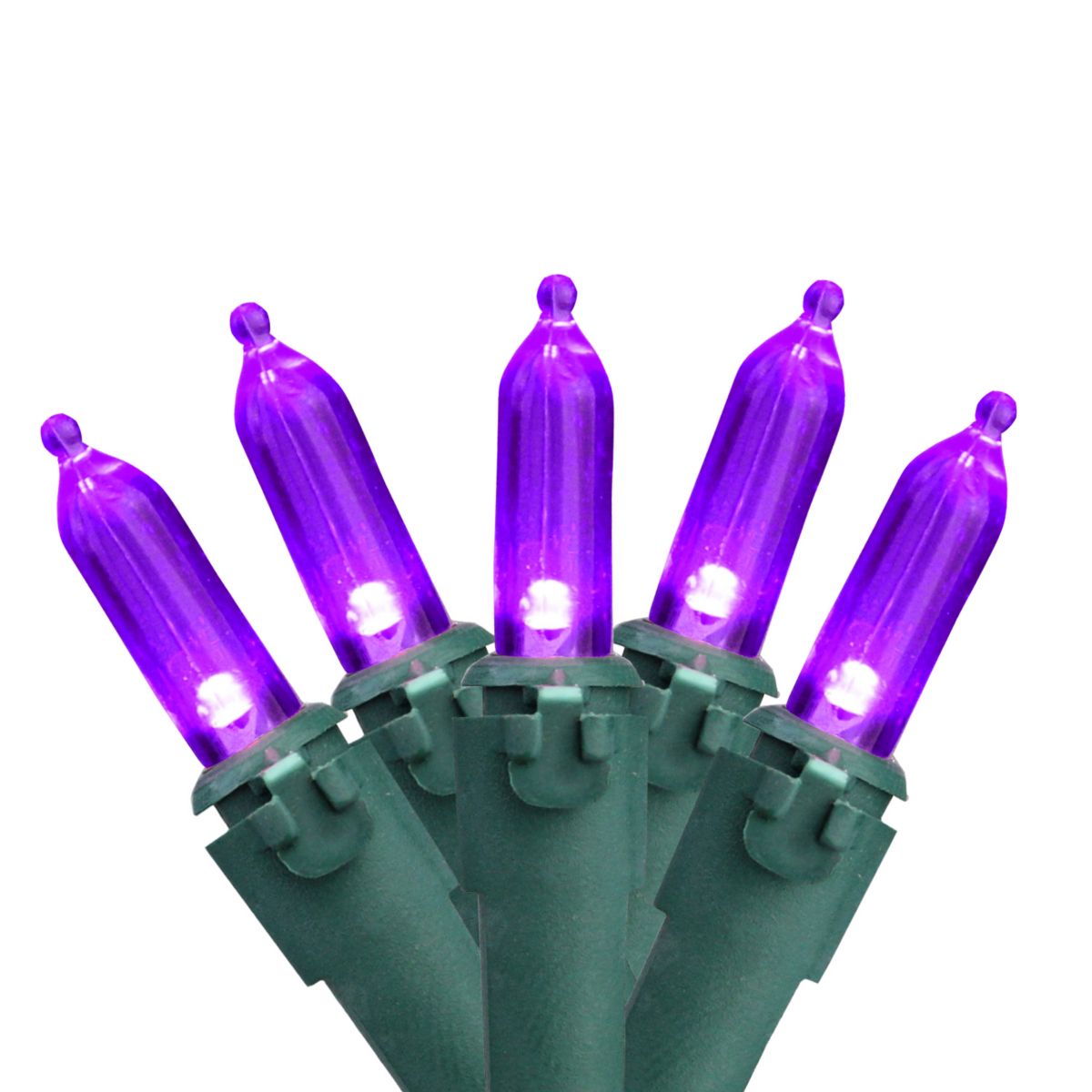 Set of 50 Purple LED Mini Christmas Lights 4” Spacing - Green Wire Christmas Central