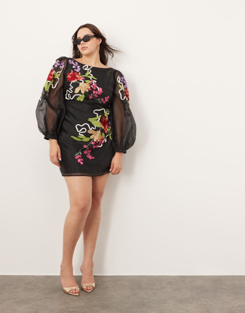 Мини-платье из органзы ASOS EDITION Curve с цветочной вышивкой и поясом на спине Asos Edition