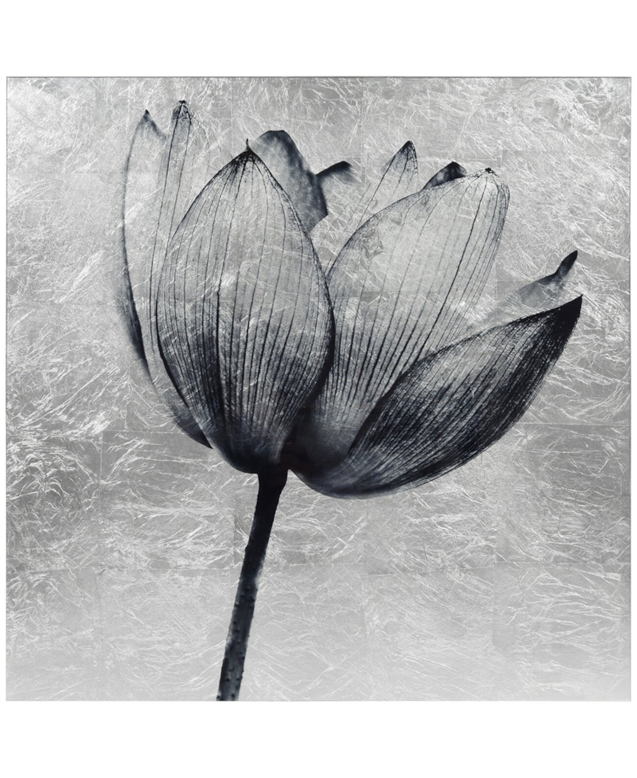 "Lotus" Reverse Printed Tempered Glass Leaf, 24" x 24" x 0.2" Empire Art Direct