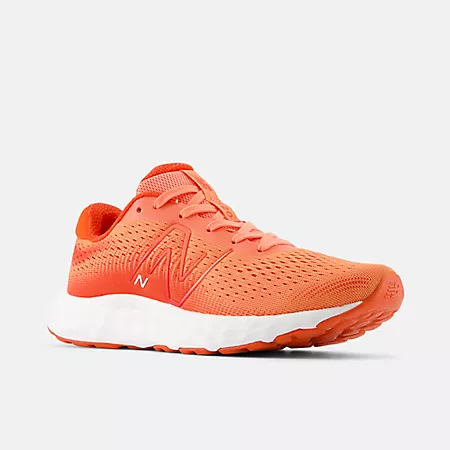 Женские Кроссовки для бега New Balance 520v8 New Balance