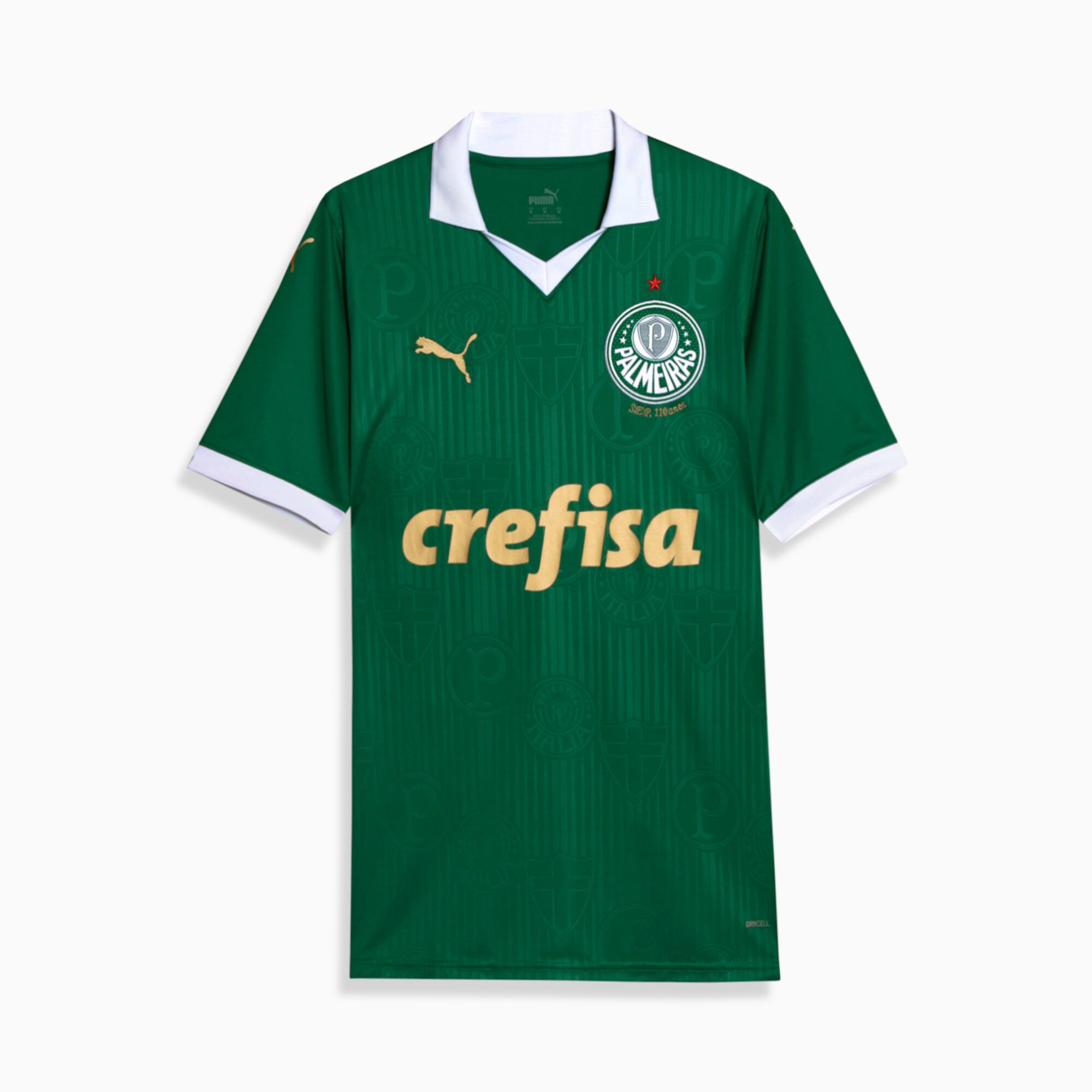 Мужская Джерси PUMA Palmeiras Fans '24 Home Jersey PUMA