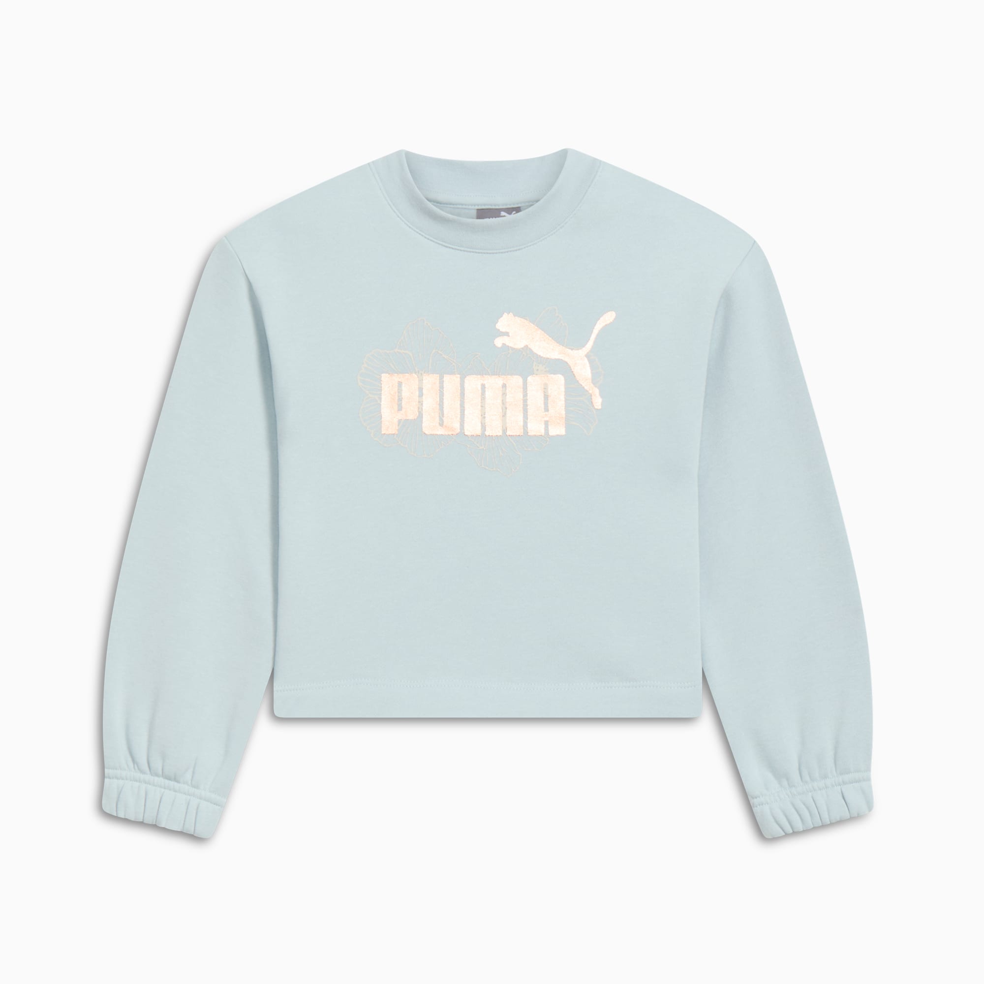 К детские толстовки PUMA Class Act Little Kids' Fleece Sweatshirt PUMA