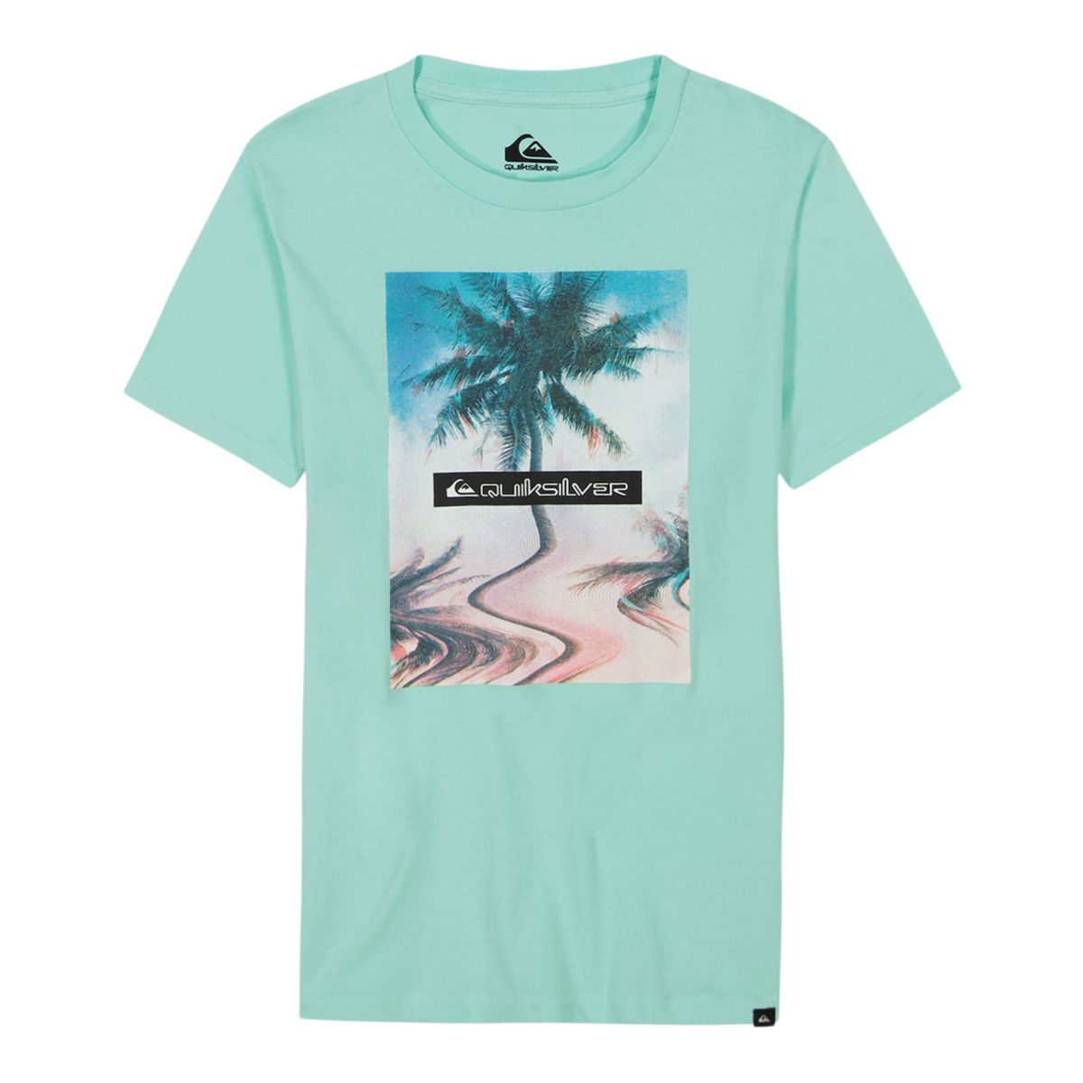 Мальчиковая Футболка Quiksilver Distortion Palm Quiksilver