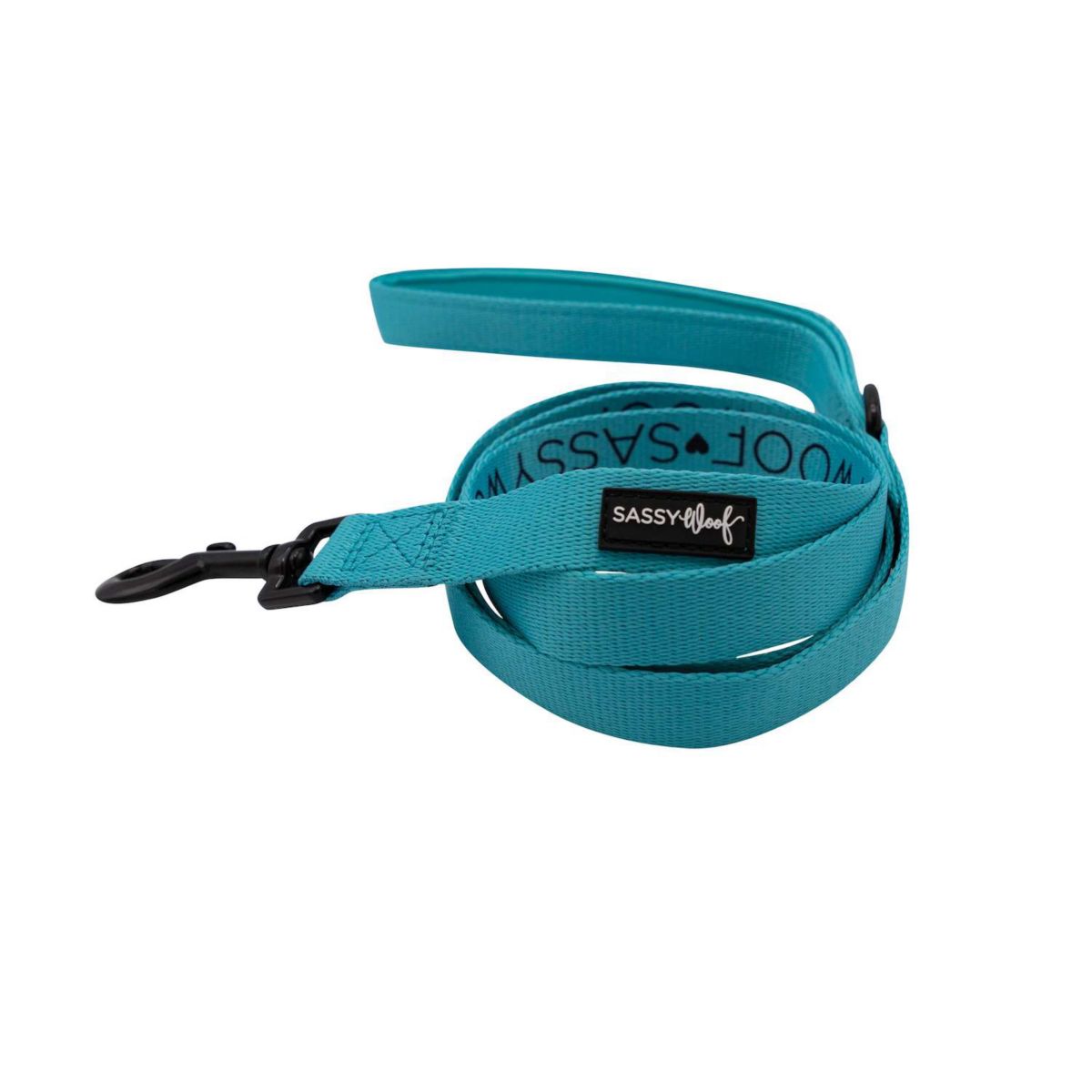 Dog Leash - Neon Blue SASSY WOOF