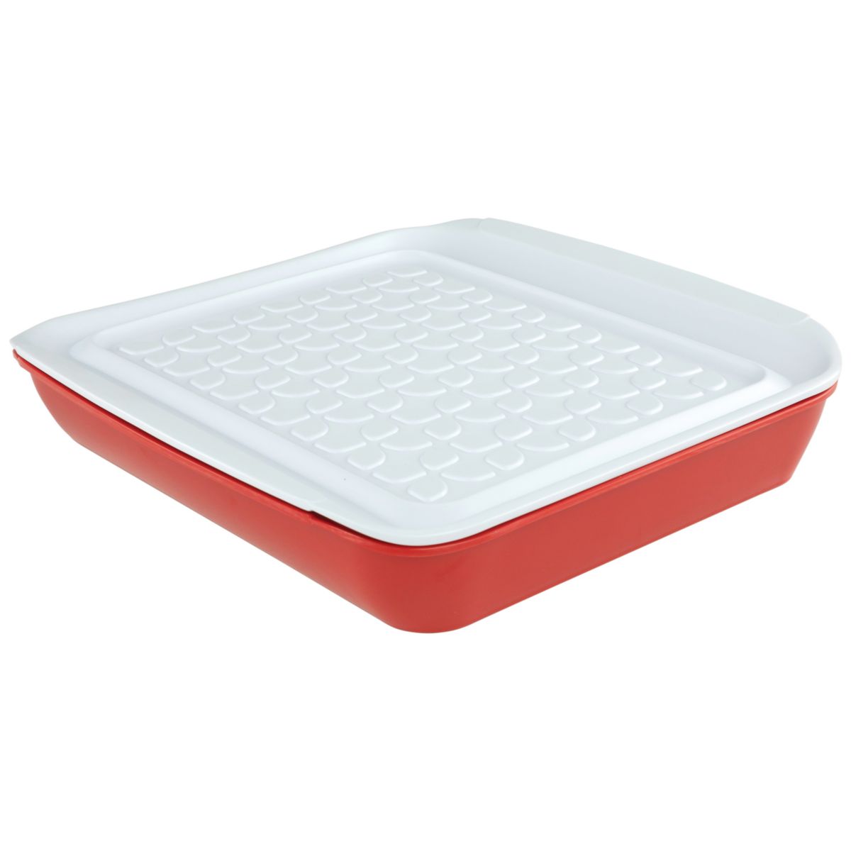 Tovolo Prep & Serve Marinade Tray Tovolo