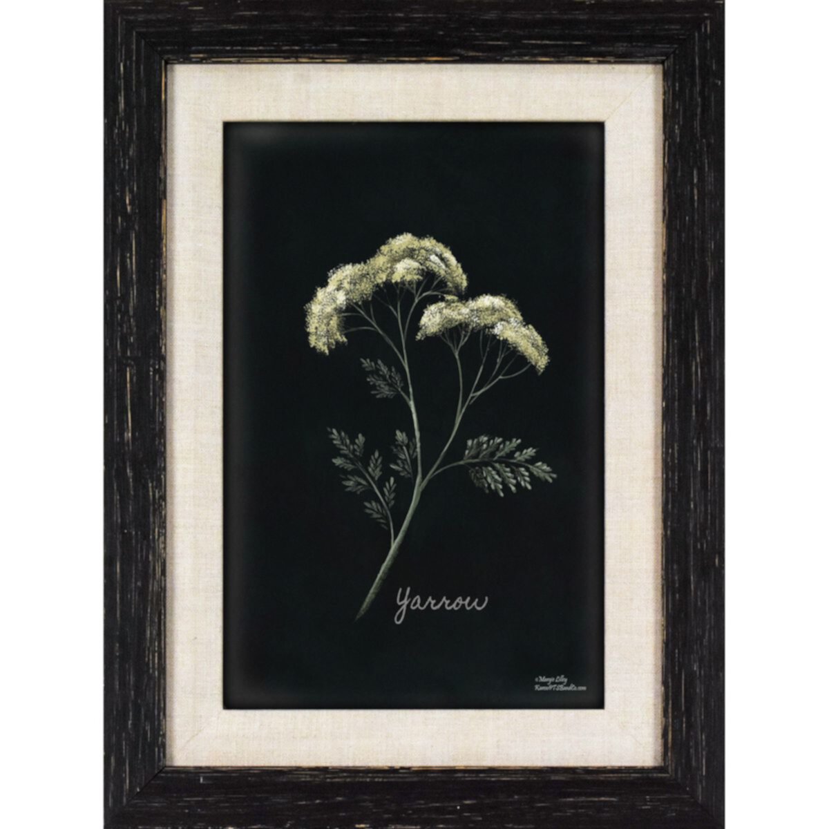 Chamomile Framed Art II Wall Décor Unbranded