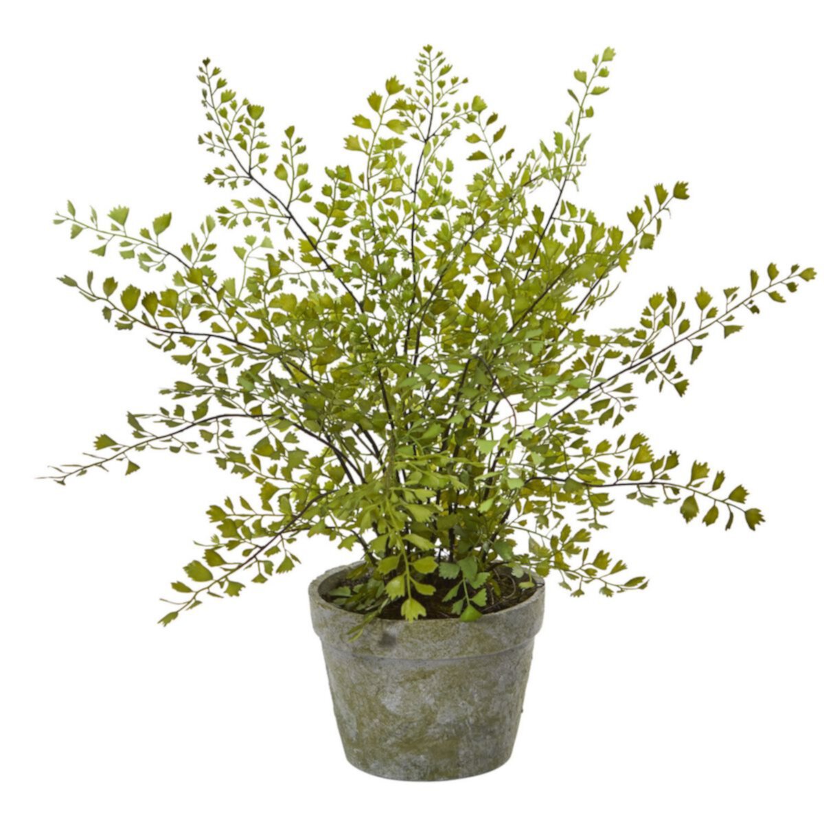 nearly natural Maiden Hair Artificial Plant in Decorative Planter NEARLY NATURAL