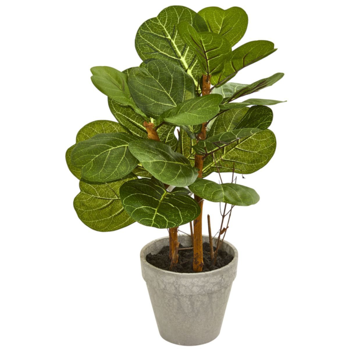 nearly natural 22-in. Fiddle Leaf Artificial Plant NEARLY NATURAL