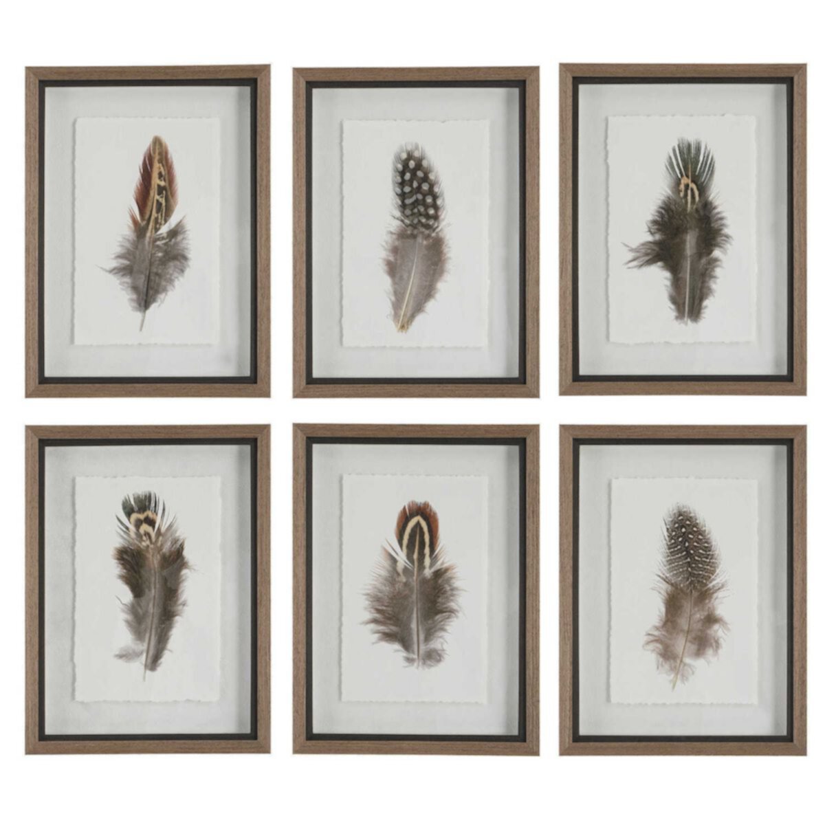 Uttermost Birds Of A Feather Framed Prints 6-Piece Set Uttermost