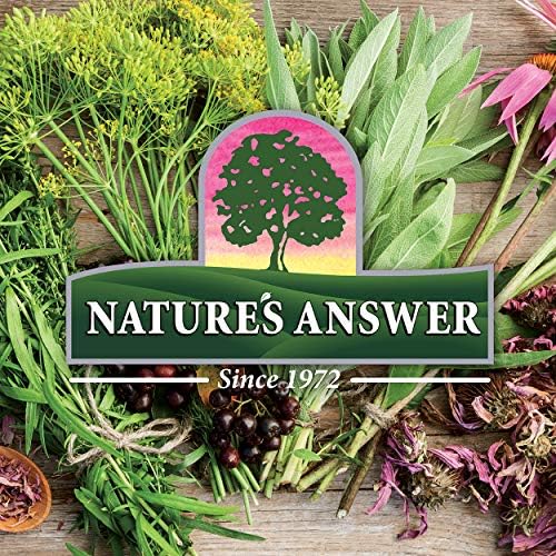 Nature's Answer Dong Quai Womens Support Supplement - Female Hormonal Support, Female Wellness Supplement, Liquid Extract (Жидкий экстракт), Alcohol Free, Gluten Free, Kosher - 1 oz (Унции) Nature's Answer