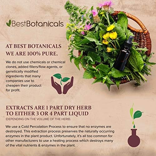 Best Botanicals Astragalus Root Cut 16 oz. (Organic) Best Botanicals