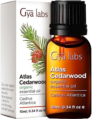 Gya Labs Organic Bay Leaf Essential Oil for Diffuser - Bay Leaf Oil Organic for Hair - Bay Laurel Essential Oil Organic is Spicy, Herbaceous Scent - 100% Pure (0.34 fl oz) Gya Labs