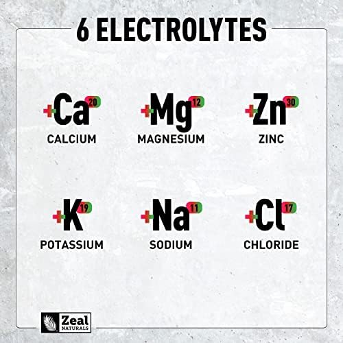 Zeal Naturals Electrolyte Powder Recovery Drink (90 Servings | Cherry Limeade) w 0 Sugar +BCAAs +B-Vitamins Electrolyte Supplement w Potassium Zinc & Magnesium for Hydration - Keto Electrolytes Zeal Naturals