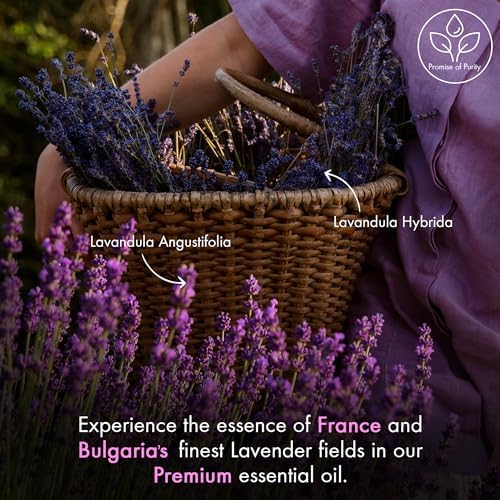 Majestic Pure Lavender Essential Oil | 100% Pure and Natural | Premium Grade Essential Oils for Hair Care, Home Diffusers, Skin, Aromatherapy, Massage and Humidifiers | 4 Fl Oz (Pack of 2) Majestic Pure