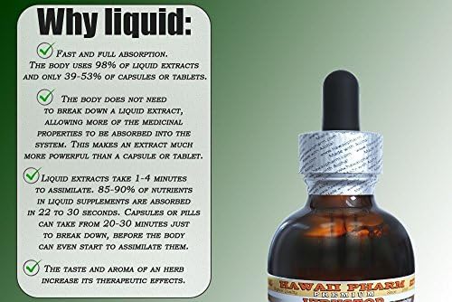 Yohimbe Liquid Extract, Yohimbe Liquid (Pausinystalia Yohimbe) Tincture 4 oz Hawaii Pharm