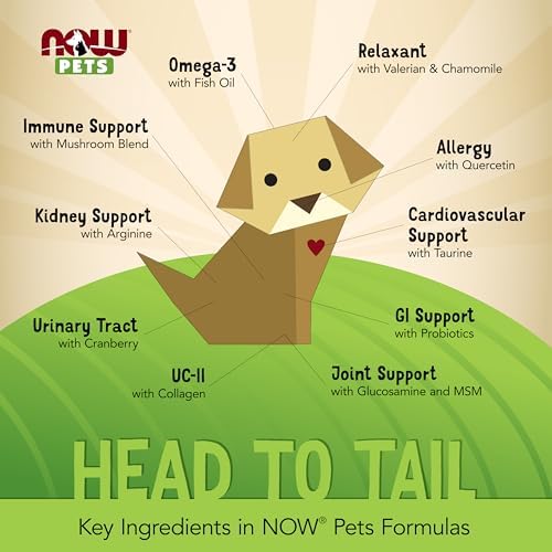 NOW Foods Pet Health, L-Lysine Supplement, Powder (Порошок), Formulated for Cats, NASC Certified, 8-Ounce NOW Foods