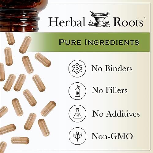 Herbal Roots Ginger Supplement | Organic Ginger Root Capsules | 1,200 mg of Pure Ginger Powder per Serving | 60 Vegan Capsules Herbal Roots