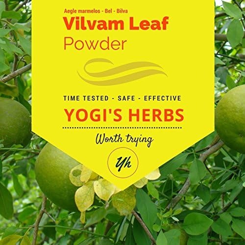 Premium Vilvam Leaf Powder (Aegle Marmelos/Bael/Bilva) 1 Lb Fresh & Pure 16.0 Ounce (Pack of 1) Green YOGIS HERBS