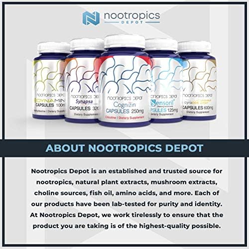 Nootropics Depot | Uridine Monophosphate Capsules | 120 Count | 250mg Nootropics Depot