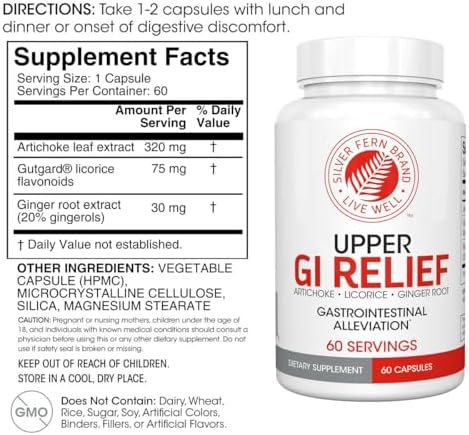 Silver Fern GI Relief - Natural Herbal Supplement - All Natural with Artichoke Leaf Extract, Ginger Root Extract, and GutGuard Licorice Flavonoids (2 Bottles - 120 Capsules - 60 Day Supply) Silver Fern