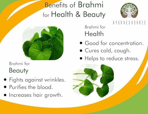 Centella asiatica Powder 100 Gm I Known as Gotu Kola, brahmi I Mandupakarni Powder I Non GMO I Gluten Free I Vegan AYURVEDASHREE