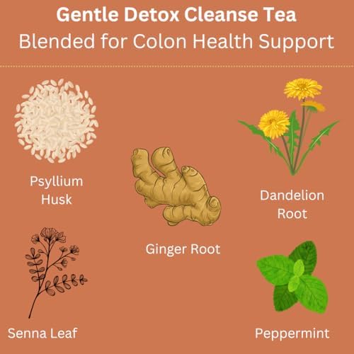 Gentle Detox Cleanse Tea - Natural Herbal Blend for Digestive & Colon Health Support, Caffeine-Free, Loose Leaf 3oz Its Health Tea