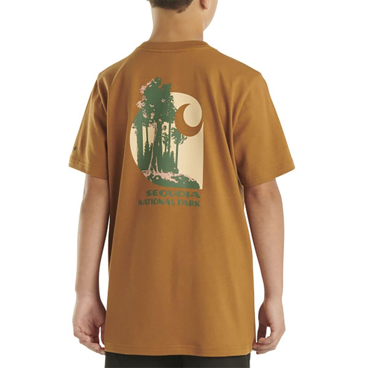 Sequoia National Park Short-Sleeve T-Shirt Carhartt