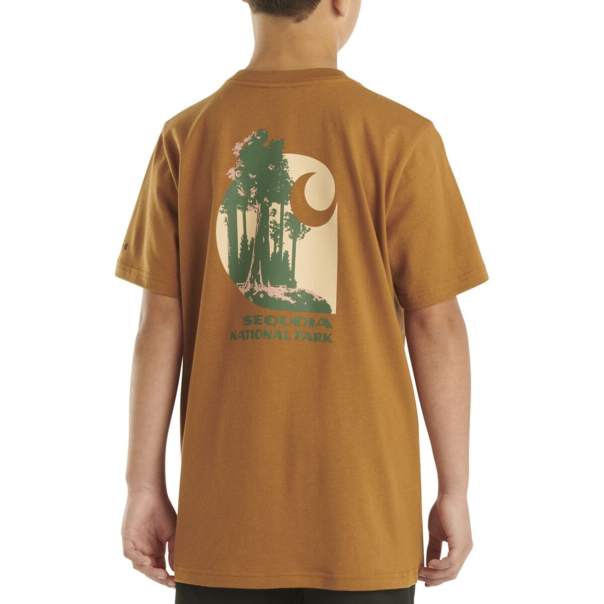 Short-Sleeve NPF Sequoia T-Shirt Carhartt