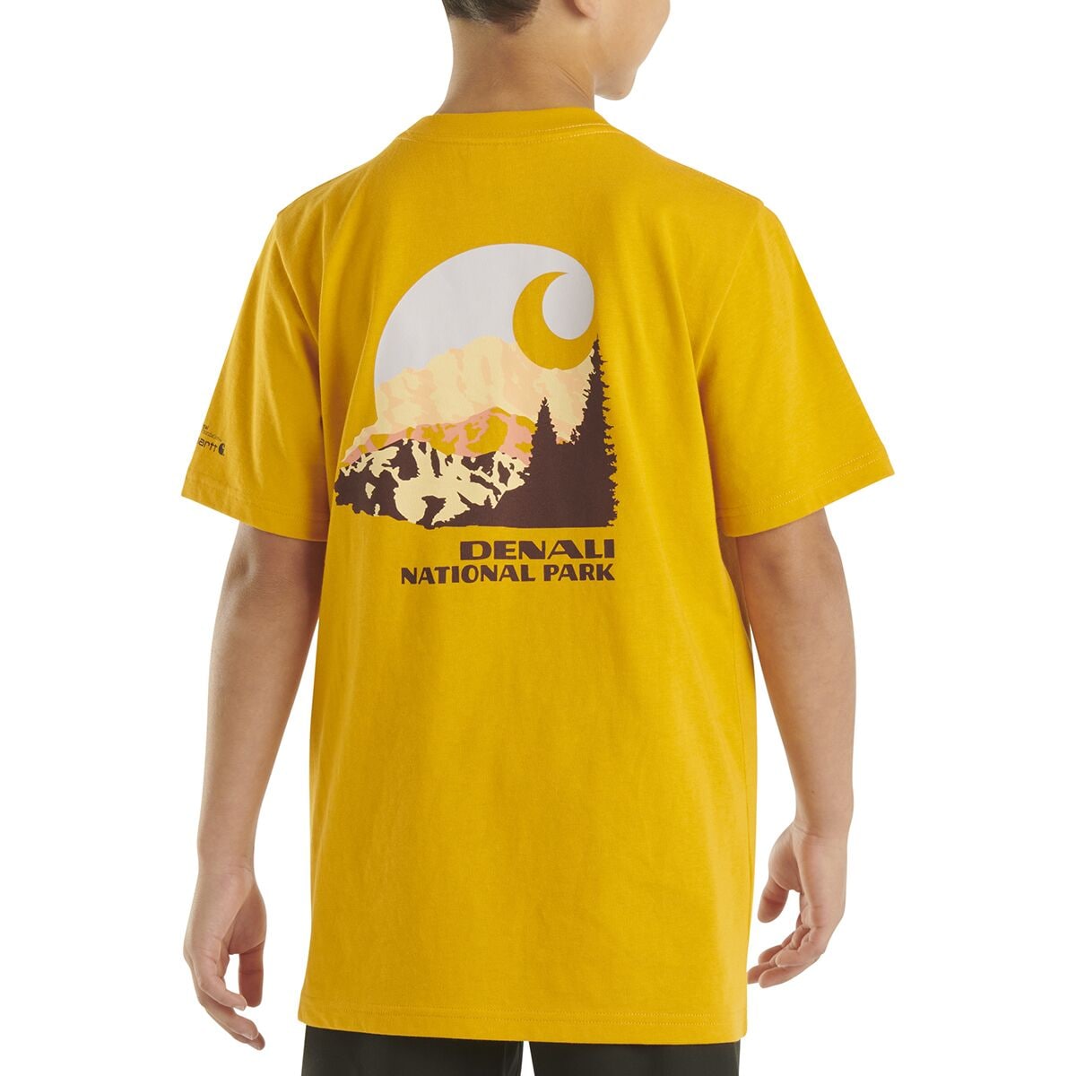 Short-Sleeve NPF Denali T-Shirt Carhartt