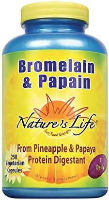 Nature's Life Bromelain & Papain | Proteolytic Enzymes for Digestive Support & Comfort | from Pineapple & Papaya | 250mg (250 CT) Nature's Life