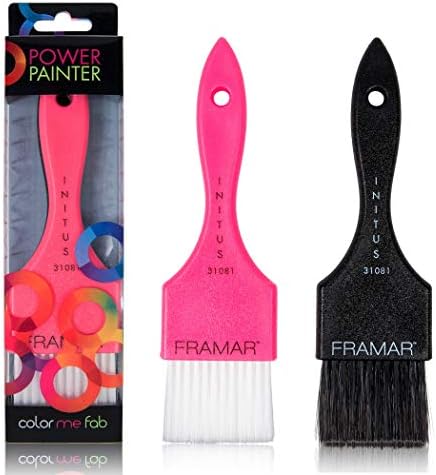 Framar Power Painter Hair Dye Brush - Hair Coloring Brush, Hair Dying Brush to Apply Hair Color, Blending Hair Color Brush Set, Balayage Tools, Dye Application Brush to Paint Hair, Tint Brush - 2 Pk FRAMAR