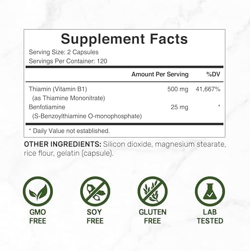 Deal Supplement Vitamin B1 500mg with Benfotiamine, 240 Capsules (Капсулы) – 2 in 1 Enhanced Formula – Fat & Water Soluble Thiamine B1 Supplement – Third Party Tested, Non-GMO, No Gluten DEAL SUPPLEMENT