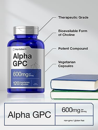 Horbäach Alpha GPC 600mg | 120 Capsules | Vegetarian, Non-GMO & Gluten Free Choline Supplement | Supports Healthy Memory, Focus and Clarity Horbäach