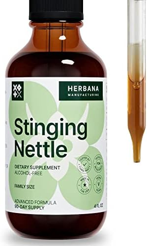 Stinging Nettle Leaf and Root 4 fl oz (Жидкие унции) Liquid Extract (Жидкий экстракт) - Natural Urinary & Kidney Support for Man and Woman - Organic Urtica Dioica - High Potency Herbal Supplement - 90-Day Supply HERBANA MANUFACTURING