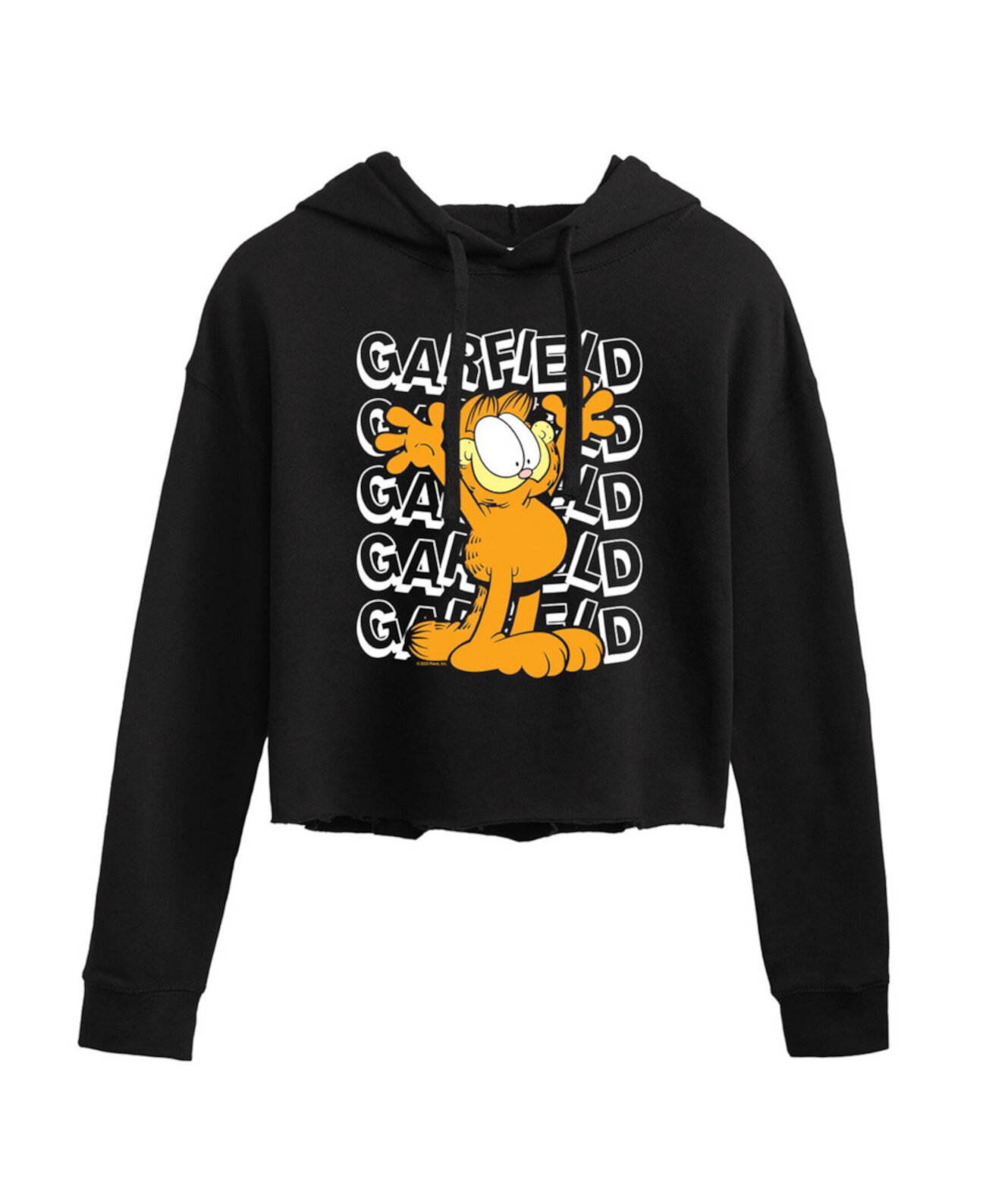 Детская Толстовка Hybrid Apparel Trendy Juniors Garfield Graphic Cropped Hoodie Hybrid Apparel