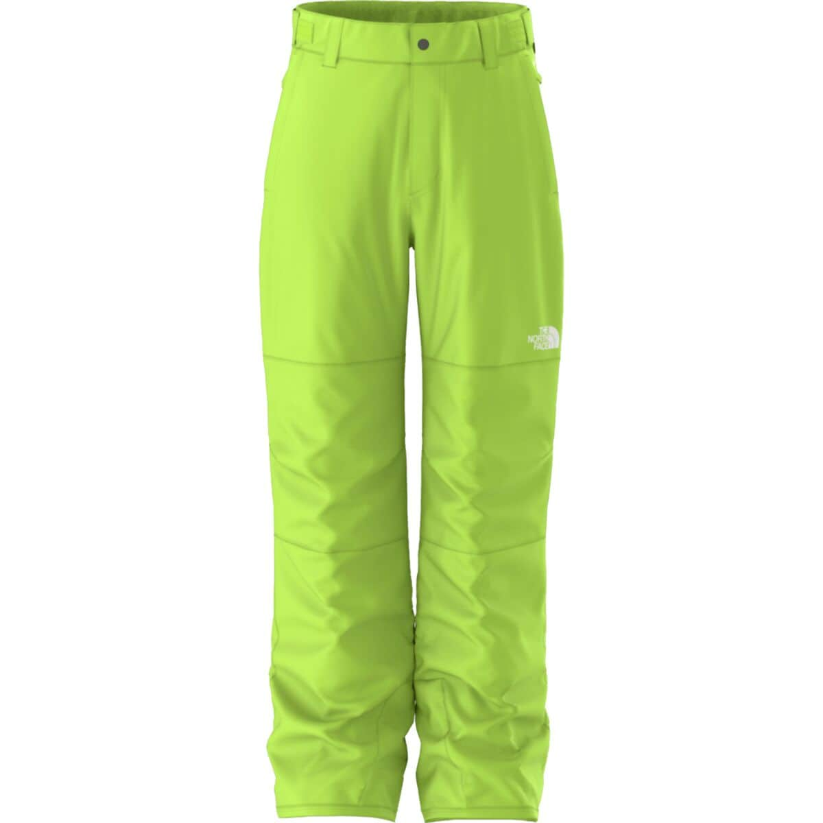 Детские брюки для лыж и сноуборда The North Face Freedom Insulated Pant The North Face